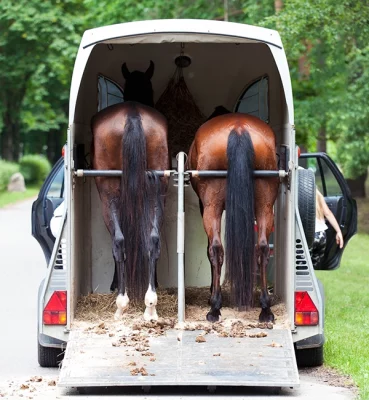 Produkter kategoribilder 600x650 - transport