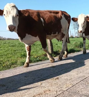 Produkter underkategoribilder 600x650 - lantbruk golv
